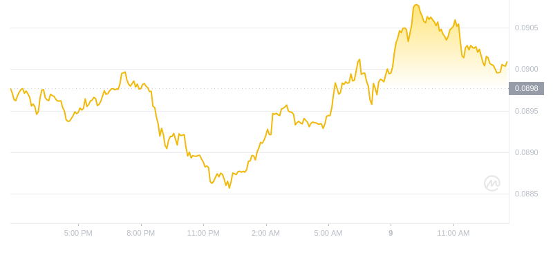 2024年09月09日恒星币价格